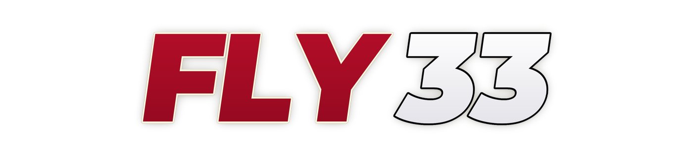 fly33